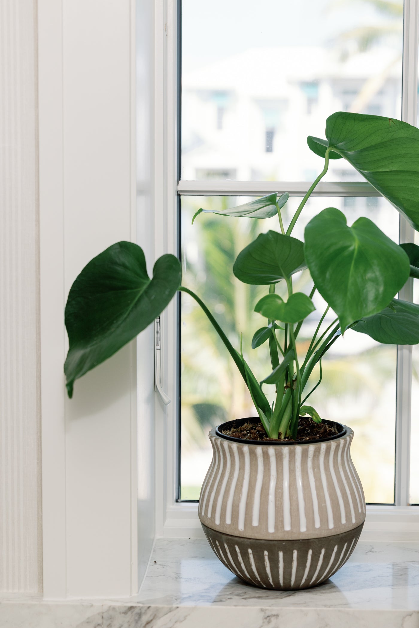 double pot planter Evelyn Double Planter – Adelyn Charles Collection